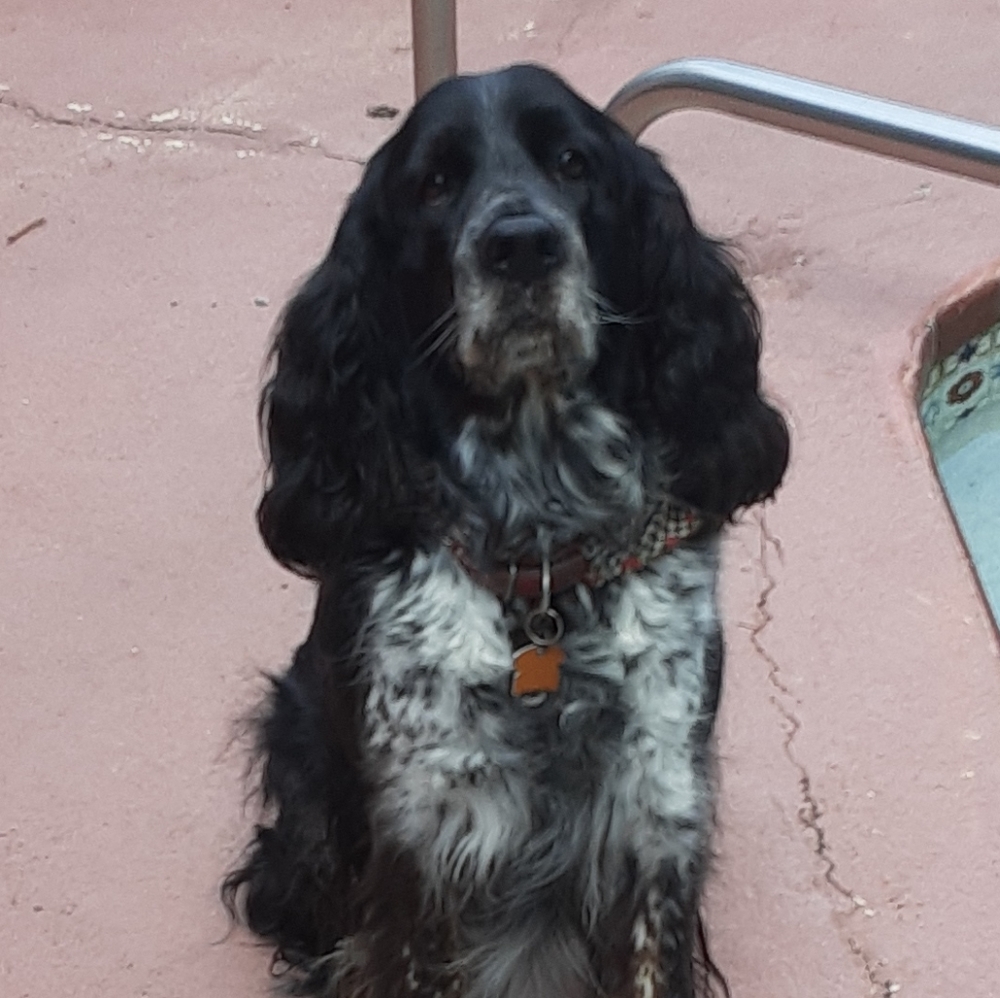 Meet your Posher, Miley